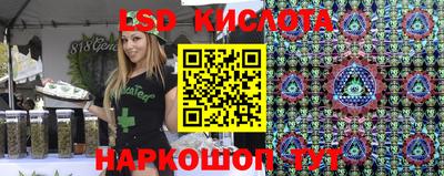 apvp Можга