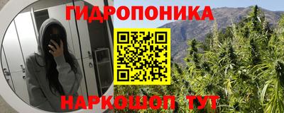 apvp Можга