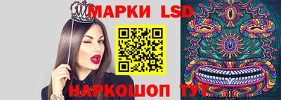 apvp Можга