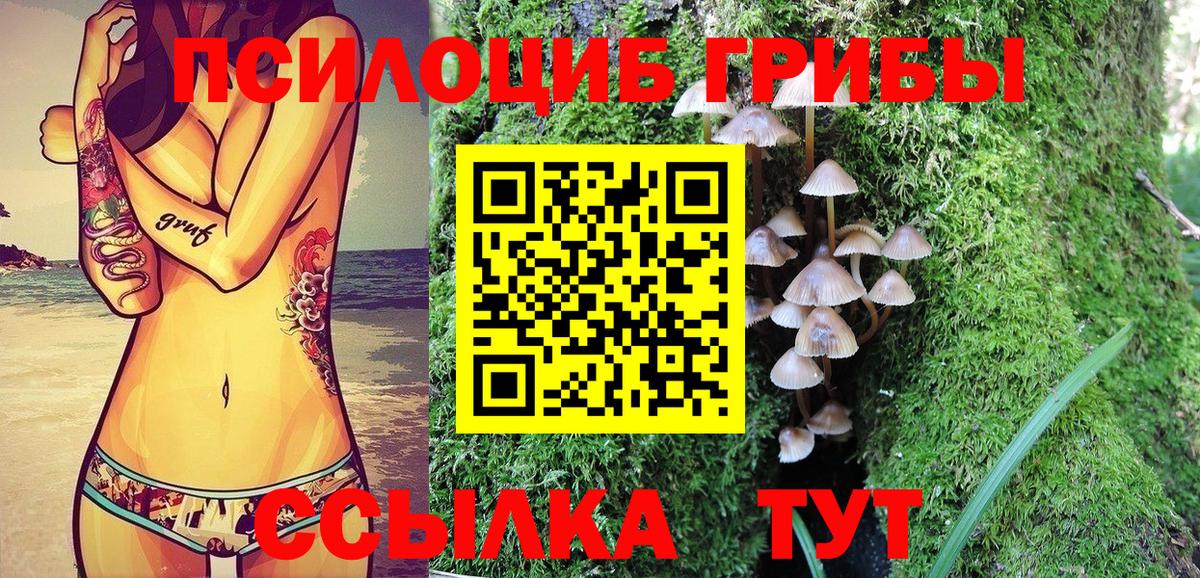 Псилоцибиновые грибы Cubensis  Псилоцибиновые грибы MAGIC MUSHROOMS  купить закладку  Вход с VPN  Усть-Илимск 
