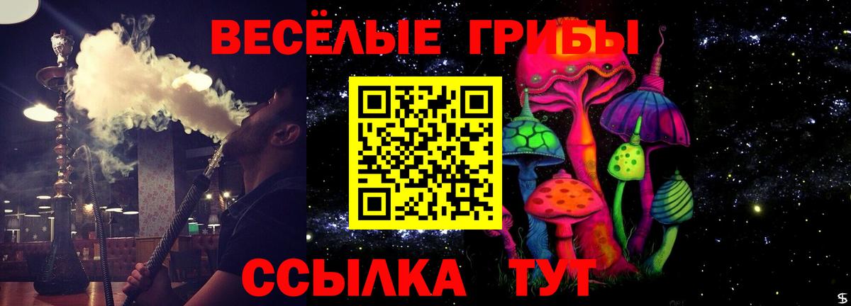 Псилоцибиновые грибы Psilocybine cubensis Усть-Илимск